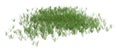 3D Rendering Patch of Grass on White Royalty Free Stock Photo