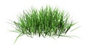 3D Rendering Patch of Grass on White Royalty Free Stock Photo