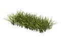 3D Rendering Patch of Grass on White Royalty Free Stock Photo