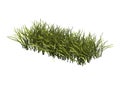 3D Rendering Patch of Grass on White