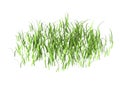 3D Rendering Patch of Grass on White Royalty Free Stock Photo