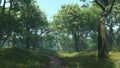 3D Rendering Path through Summer Forest