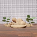 3D rendering of pedestal podium, Abstract minimal display empty space with Monstera leaves. Geometry podium for beauty cosmetic