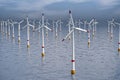 Photorealistic image of a wind park in the sea