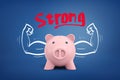 3d rendering of piggy bank flexing arms with red sign strong on blue background