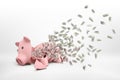 3d rendering of a pink broken piggy bank lying on a white background with many dollar banknotes flying out of it.