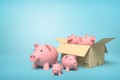 3d rendering of pink ceramic piggy banks in carton box on blue background.