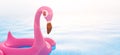 3d rendering of pink flamingo float in swimming pool with copy space for your text for summer holiday concept Royalty Free Stock Photo
