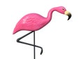 3D Rendering Pink Flamingo on White