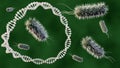 plasmid circular DNA and Escherichia coli bacteria Royalty Free Stock Photo