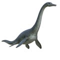 A 3D rendering of a Plesiosaurus, characterized by its long neck, small head, and Royalty Free Stock Photo
