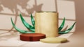 3D rendering of Podium for displaying products decorated with leaves background. Mockup for show product