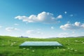 3D rendering podium on a meadow with lush green grass