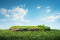 3D rendering podium on a meadow with lush green grass