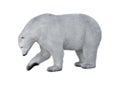 3D Rendering Polar Bear on White