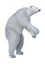 3D Rendering Polar Bear on White