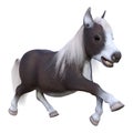 3D Rendering Pony on White