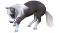 3D Rendering Pony on White