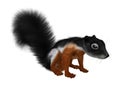 3D Rendering Prevost Squirrel on White