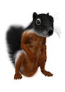 3D Rendering Prevost Squirrel on White