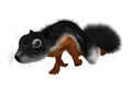 3D Rendering Prevost Squirrel on White