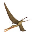 3D Rendering Pterodactyl Anhanguera on White