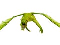 3D rendering of a pterosaur