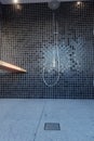 3d rendering of rain shower armature and mosaic tiles with wooden bench of luxury bathroom