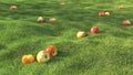 3D rendering realistic green grass field summer with apple