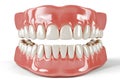 3D rendering of realistic human teeth and gums dental care concept Royalty Free Stock Photo