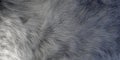 Realistic Looking Animal Hair Fur Closeup