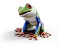 3D rendering of a realistic red-eyed tree frog.