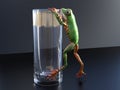 3D rendering of a realistic tree frog climbing on a glass.