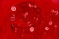 3D rendering Red blood cell flow in blood vessel