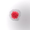 3d rendering red blood cells with membrane.