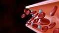 red and white blood cells inside of blood vessel Royalty Free Stock Photo