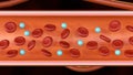 red and white blood cells inside of blood vessel Royalty Free Stock Photo