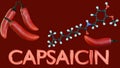 A 3D rendering of red chilis and molecular structure of capsaicin Royalty Free Stock Photo