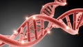 3D Rendering of a Red DNA Double Helix with Glowing Nodes Royalty Free Stock Photo