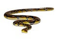 3D Rendering Reticulated Python on White