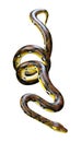 3D Rendering Reticulated Python on White