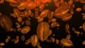 Roasted coffee beans falling down on a dark background, computer generated. 3d rendering Royalty Free Stock Photo