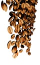 3D rendering of roasted coffee beans falling down isolated in white Royalty Free Stock Photo