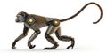 A robotic monkey with metallic limbs and glowing orange joints walks forward, isolated on white background Royalty Free Stock Photo