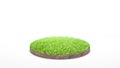 Round soil ground cross section with green grass on white background Royalty Free Stock Photo