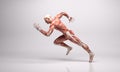 3D Rendering : a running male mesomorph character illustration with Muscle tissues Royalty Free Stock Photo