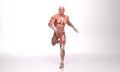 3D Rendering : a running male mesomorph character illustration with Muscle tissues Royalty Free Stock Photo