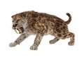 3D Rendering Saber Tooth Tiger on White