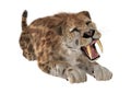 3D Rendering Saber Tooth Tiger on White