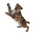 3D Rendering Sabertooth Tuger on White Royalty Free Stock Photo